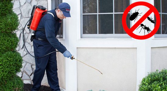 Yayladağı Sivrisinek İlaçlama böcek ilaçlama ve haşere kontrolü — ilaclama-tr.com